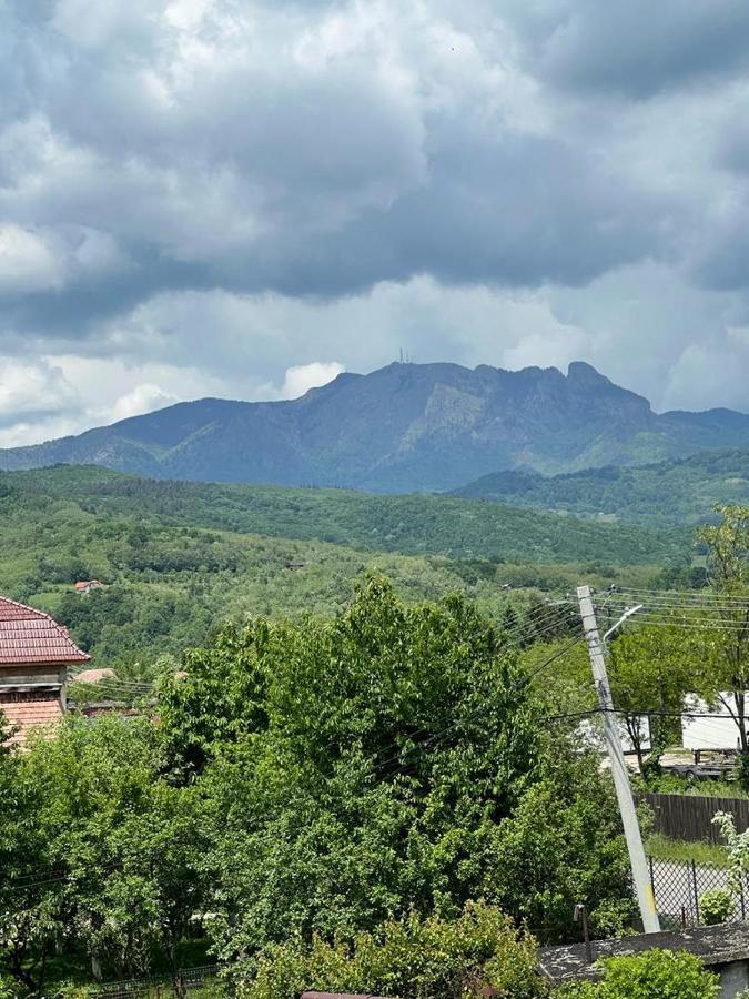 Phoenix Pensiune Călimăneşti